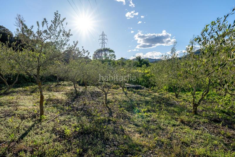 Foto 908f3e02-ee1d-45b3-8628-84012858f864. Finca rústica a Riudecols