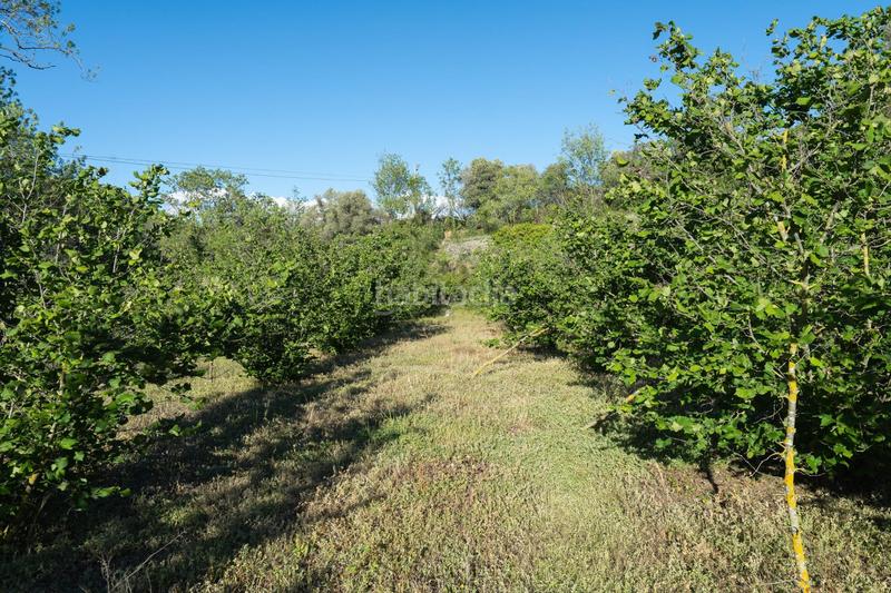 Foto 9c8b8acf-1964-4129-8239-48e47f439a95. Finca rústica a Riudecols