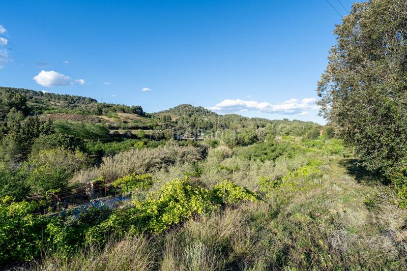 Foto a8386332-c331-48c0-ae65-3aa84b14dcad. Finca rústica a Riudecols