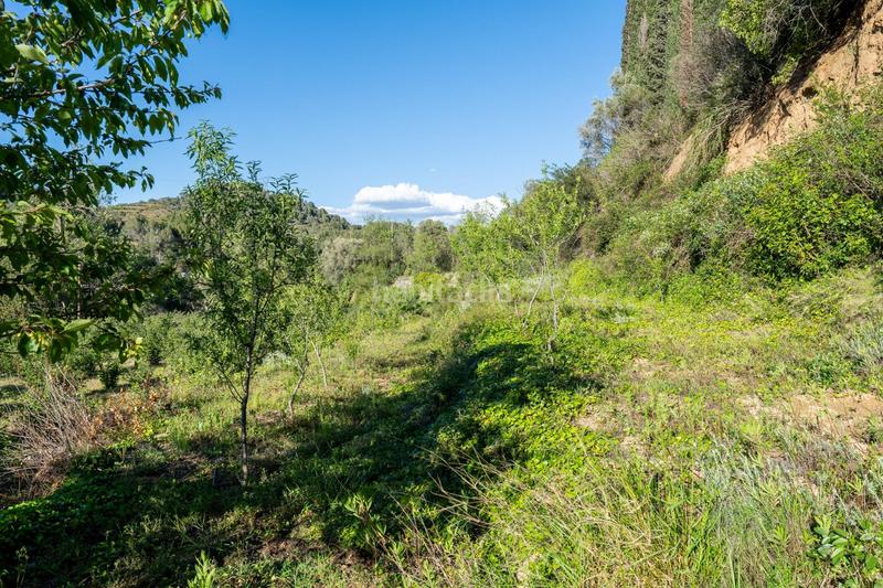 Foto b36c6d9e-a8a2-4935-83bb-4cc98292a575. Finca rústica a Riudecols