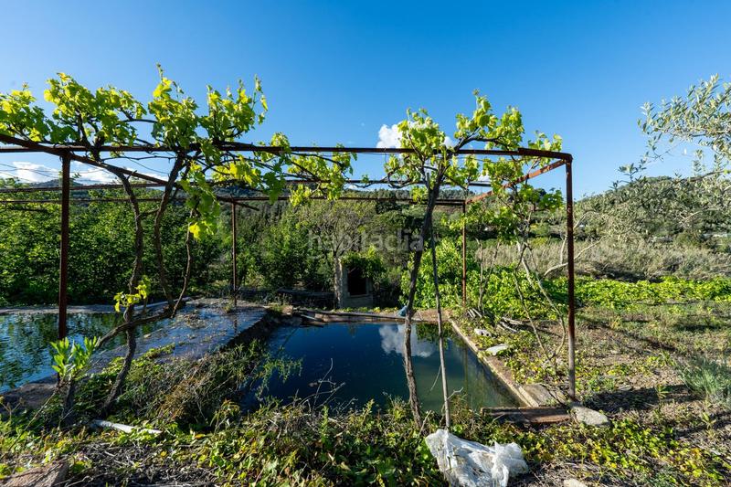 Foto d46823be-f4fb-4cf5-9e4f-1fffe44d0f7e. Finca rústica a Riudecols