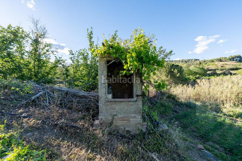 Foto d54a7871-90bf-4cd2-86a3-acdb1adaade0. Finca rústica a Riudecols