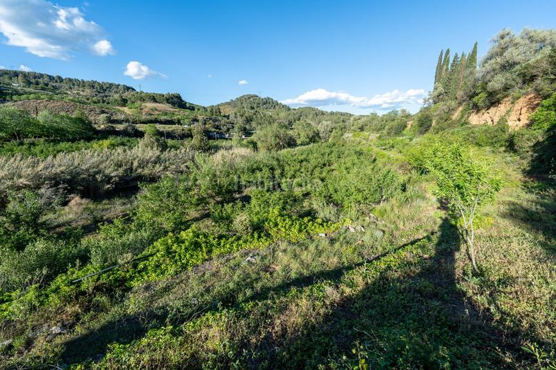 Foto e9749e4e-c852-410f-8fda-d8da163ae4eb. Finca rústica a Riudecols