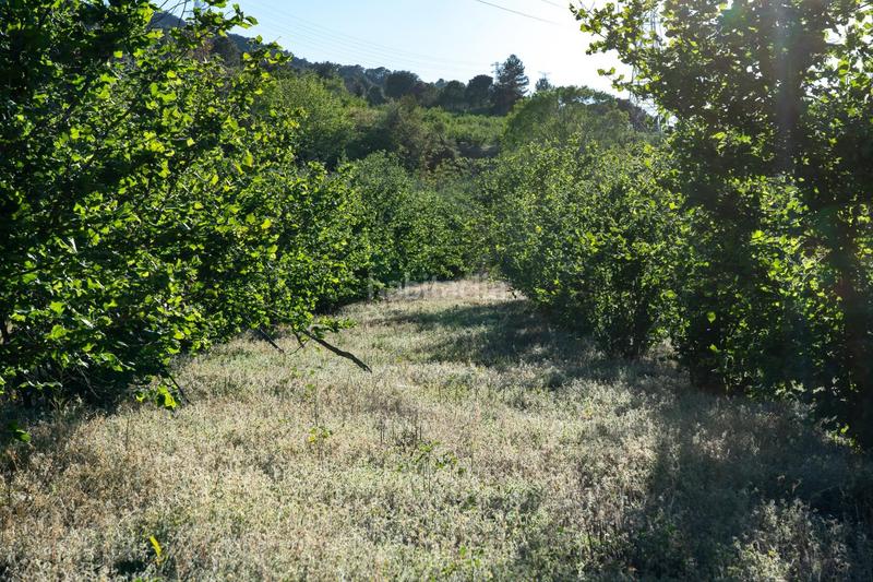 Foto f08162aa-b8d2-4278-a237-efb57ec409c7. Finca rústica a Riudecols