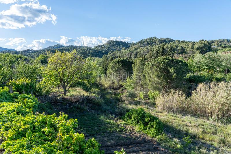 Foto fd9f8dff-4c42-42aa-9fd0-5a6f4d1e0d84. Finca rústica a Riudecols