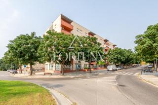 Ground floor  Jose roque