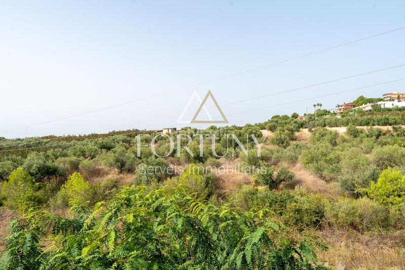 Foto 0c72e753-cd19-492f-b899-0f0a33342a3d. Reihenhaus mit heizung parking in Castellvell del Camp