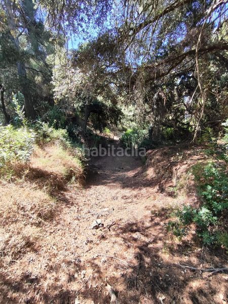 Foto 10cb5493-0a3a-447d-9a7c-f0912bc801e1. Finca rústica a partida forns 64 a Aleixar (L´)