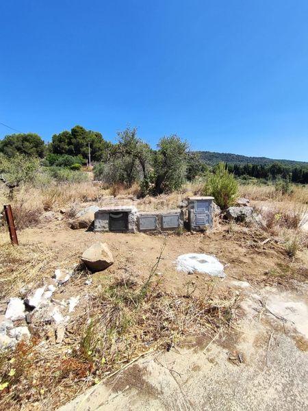 Foto 58c91305-9195-46c4-808a-bc925b5c8832. Finca rústica a partida forns 64 a Aleixar (L´)