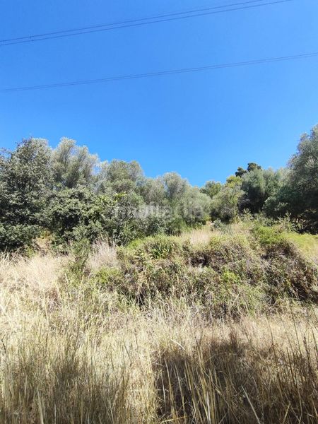 Foto 62f063a2-9fc7-4822-8069-3abe4e05f669. Finca rústica a partida forns 64 a Aleixar (L´)