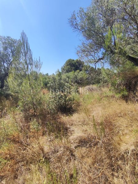 Foto a50b08d3-ed6f-47f1-a49f-f1fe8c3a800c. Finca rústica a partida forns 64 a Aleixar (L´)