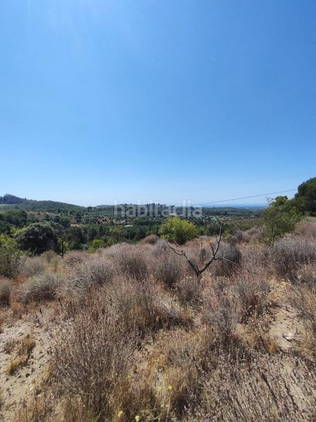 Foto aa049e9b-f559-4bef-b2b5-a713d9756934. Finca rústica a partida forns 64 a Aleixar (L´)