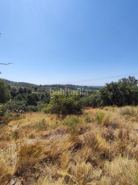 Foto b51454e1-8eb4-453b-ab84-ab994f4b2b7e. Finca rústica a partida forns 64 a Aleixar (L´)