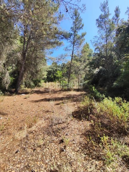 Foto d05f1880-223d-41d2-aff8-45255c239bbd. Finca rústica a partida forns 64 a Aleixar (L´)