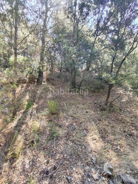 Foto f110756c-ab9e-46b8-9db3-f953d8b85329. Finca rústica a partida forns 64 a Aleixar (L´)