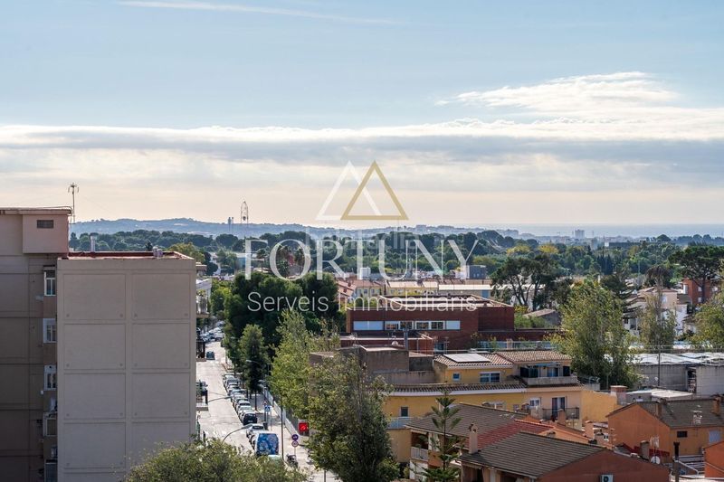 Foto 11db54be-7bd5-4e70-affa-4fe4b20b52a9. Pis a Migjorn Reus