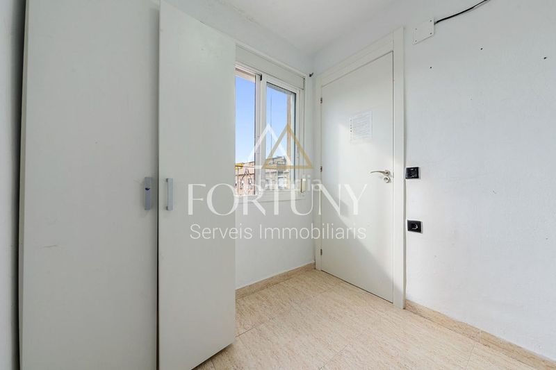 Foto ae61ab88-b9df-46df-b368-8b6aef4b24fd. Pis a Migjorn Reus