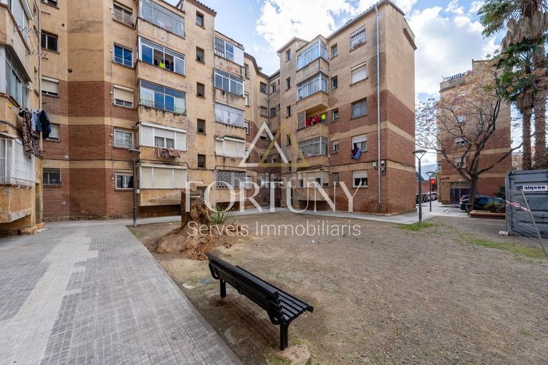 Foto c7821790-f6d5-4052-8355-85270f686032. Pis a Migjorn Reus