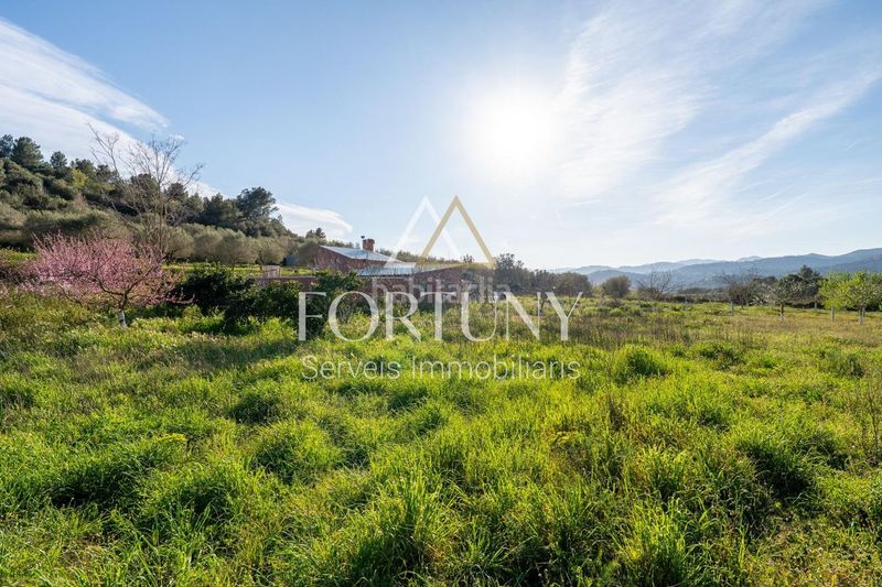 Foto 79653a2f-52c9-4229-ba36-3e3ec714fb1f. Casa a Aleixar (L´)