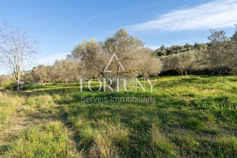 Foto b3662cf9-31d9-4e4f-8fa7-ef73f94bce52. Casa a Aleixar (L´)