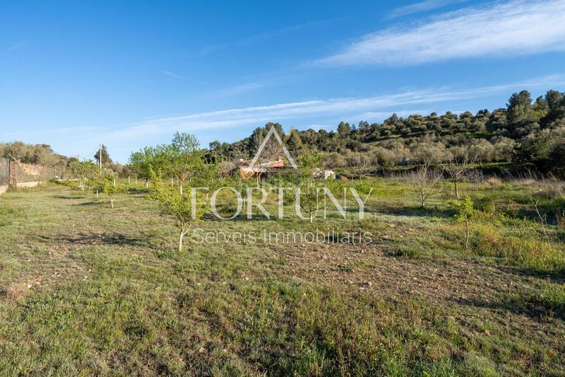 Foto f0c0f004-ac2c-438a-aea4-725b69fa2917. Casa a Aleixar (L´)