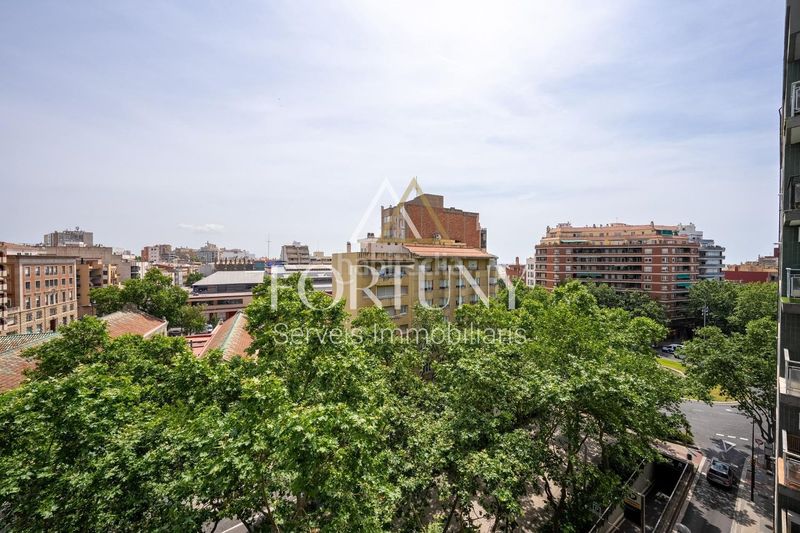Foto c694813a-d330-4947-9f2e-0049c0a05a5b. Pis a Ponent Reus