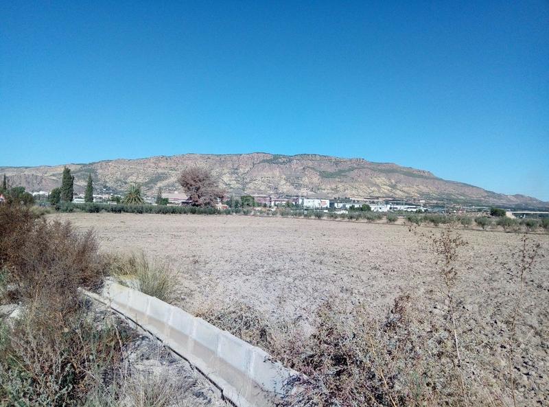 Foto 8f498888-c226-490b-adff-4b8ac1f36786. Finca rústica autovia del mediterraneo en Alhama de Murcia ciudad Alhama de Murcia