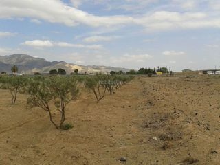 Area edificabile industriale in Alhama de Murcia Ciudad. Terreno rustico-industrial en autovia del mediterraneo