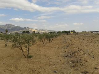 Propriété à Alhama de Murcia Ciudad. Terreno industrial en alhama