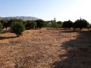 Propriété à Calle madrid 110. Parcela para construir en alhama