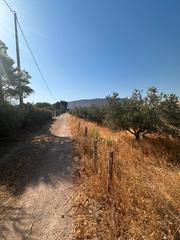 Propriété à Alhama de Murcia Ciudad. ?? parcela rústica de 10.600 m² con olivos y construccion de 35
