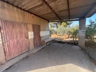 Finca rústica a Alhama de Murcia Ciudad. ?? parcela rústica de 10.600 m² con olivos y construccion de 35