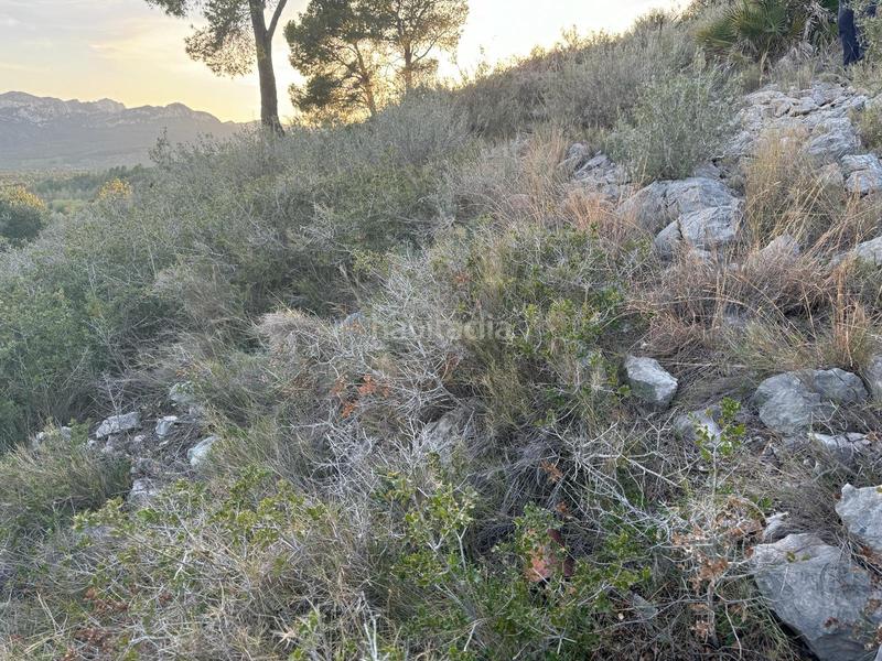 Foto 49e0a512-b6ba-44d7-8dc9-b785a6792ecb. Wohngrundstück in Pratdip