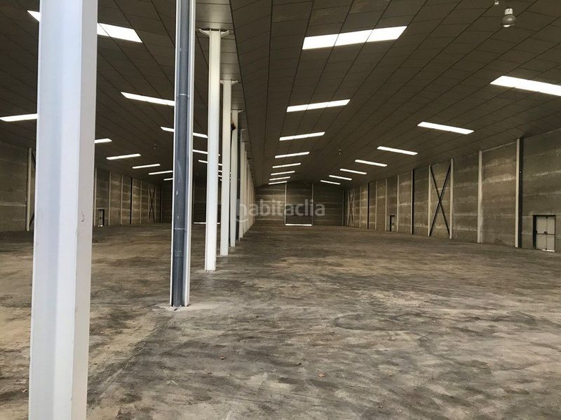 Foto 1d3801ea-59e5-437b-8a02-db061cd067e8. Rent industrial building in Centre Reus