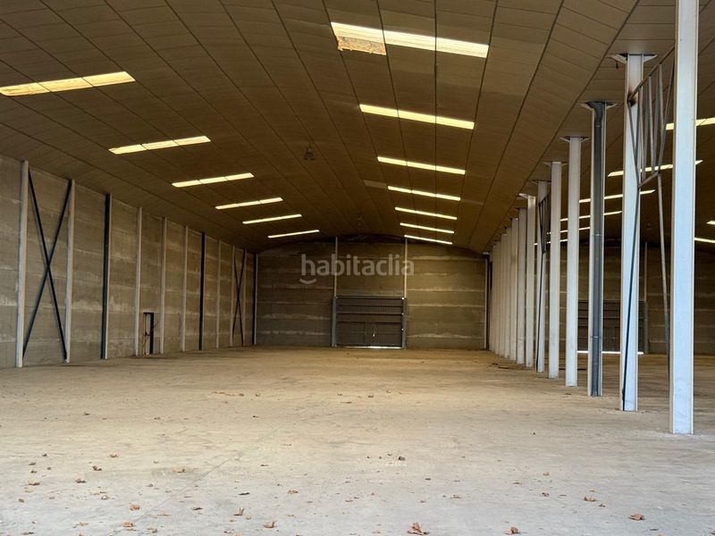 Foto 7e2c4fad-e27e-4749-85c0-821a31a0f0bf. Rent industrial building in Centre Reus