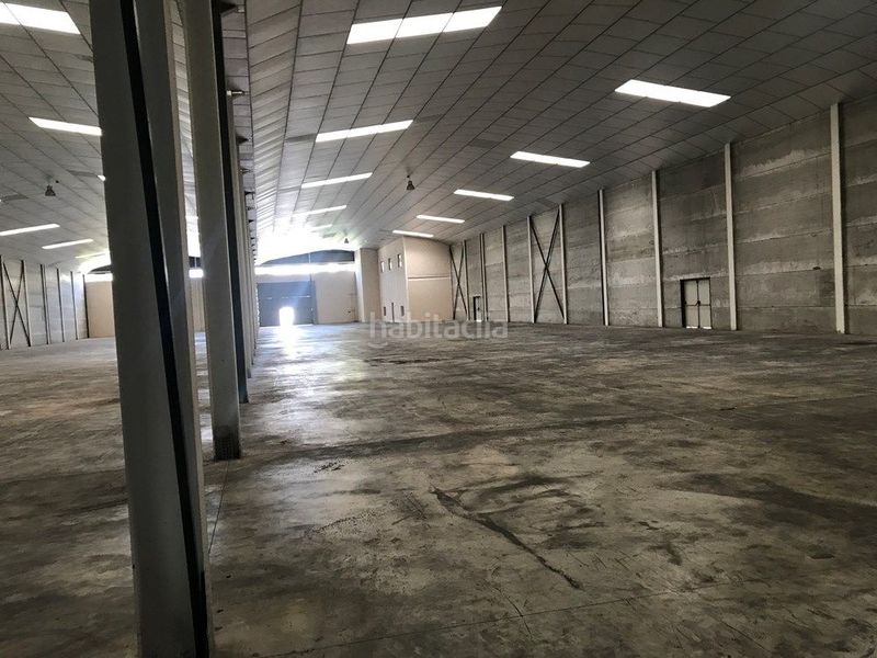 Foto 8c0b5092-3e70-4a17-945a-709758e6293a. Rent industrial building in Centre Reus