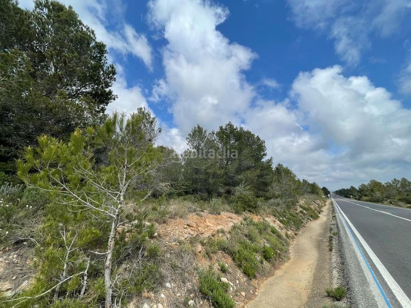 Foto 5ac5b7b8-737d-45ee-a9f8-1125886e5581. Finca rústica terreno rustico en Pratdip