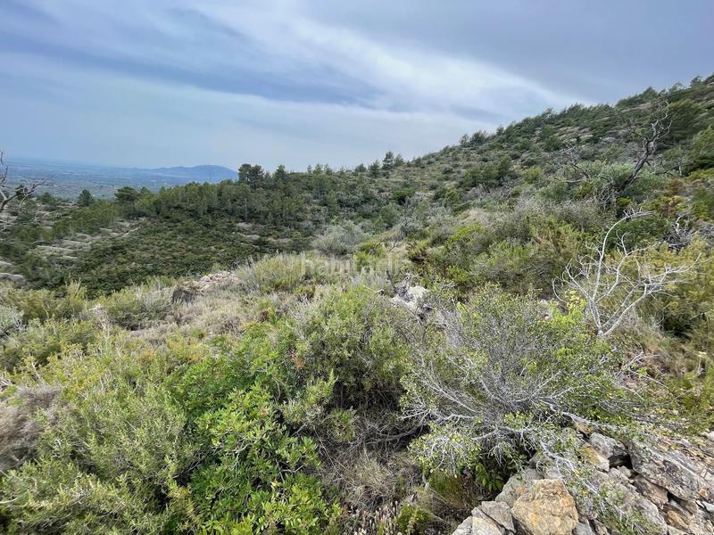 Foto 2d9e8dda-bb42-4a59-8a86-265bdc5b4f7d. Terreno residenziale in Urbanitzacions Tortosa