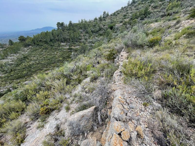 Foto 2f14a4b9-6171-4578-a276-6150f15dc116. Terreno residenziale in Urbanitzacions Tortosa