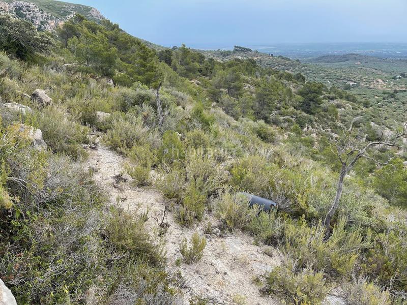 Foto 3530ca46-bf2d-474c-8bc1-14e275463cb6. Terreno residenziale in Urbanitzacions Tortosa