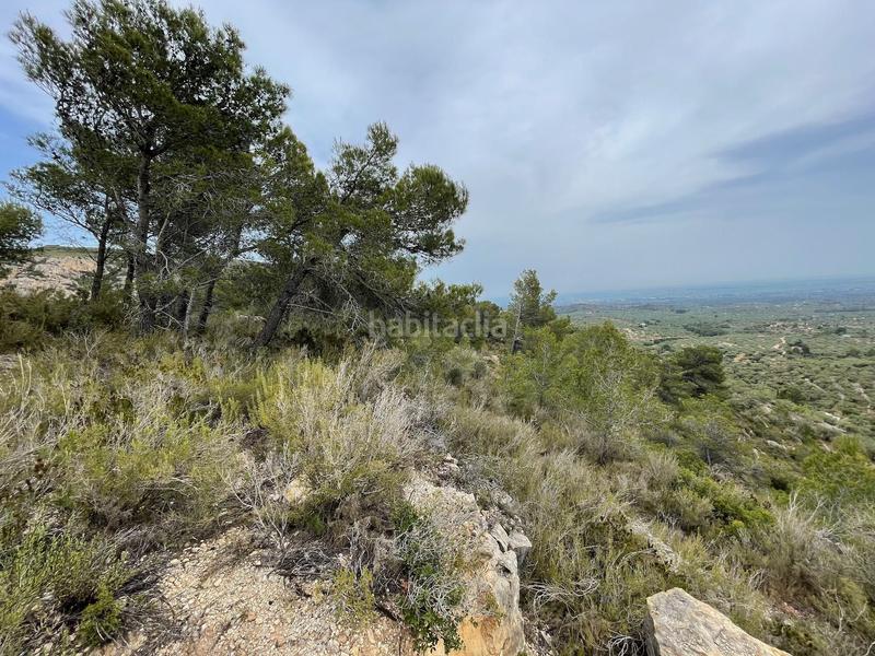 Foto 370eae7b-c344-4953-a2f0-167e2c623cff. Terreno residenziale in Urbanitzacions Tortosa