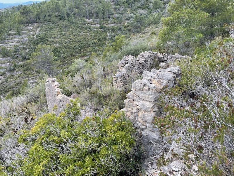 Foto 52ca2ff6-f31e-460d-ab10-29a474faf565. Terreno residenziale in Urbanitzacions Tortosa