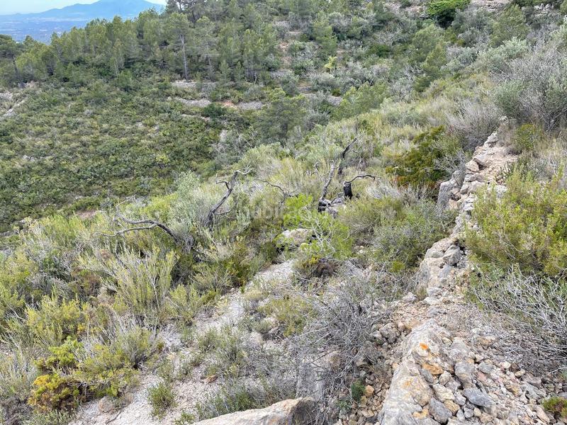 Foto 69d3ee91-4688-4e39-8164-9223c286f987. Terreno residenziale in Urbanitzacions Tortosa