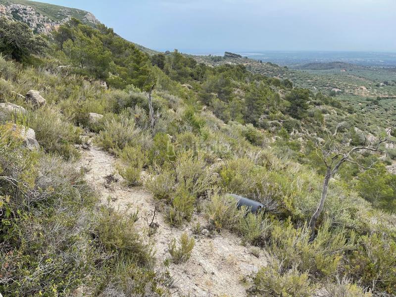 Foto 81e4ee2e-99e2-4f89-b477-6b66961724fa. Terreno residenziale in Urbanitzacions Tortosa