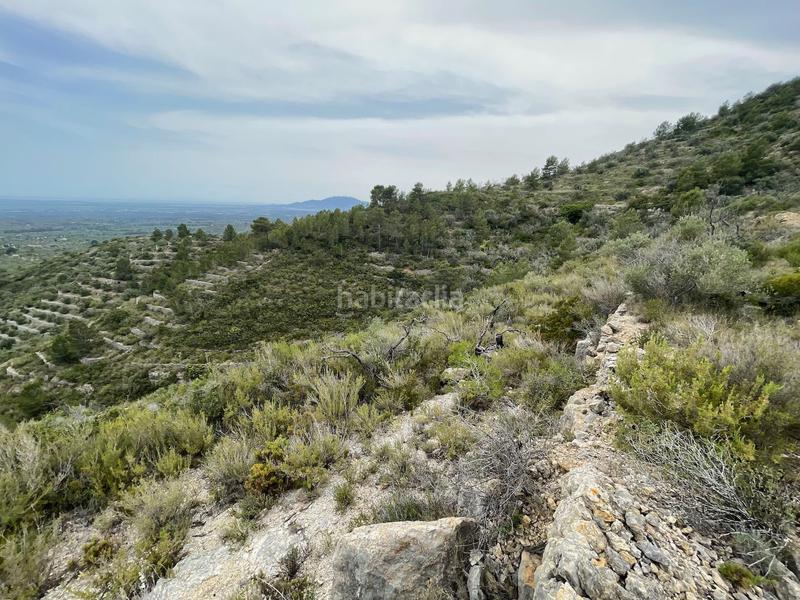 Foto 842fba16-bca7-4684-a63d-87e94851c6a1. Terreno residenziale in Urbanitzacions Tortosa