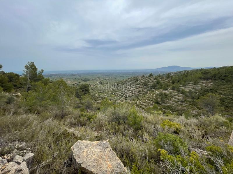 Foto c9c5827d-8fc6-4594-8782-938ac5b052c5. Terreno residenziale in Urbanitzacions Tortosa