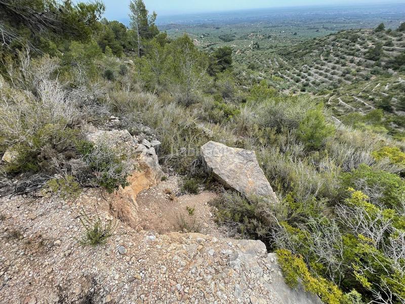 Foto d10e8b5c-ac13-4b9f-bf6d-3618a66b2326. Terreno residenziale in Urbanitzacions Tortosa