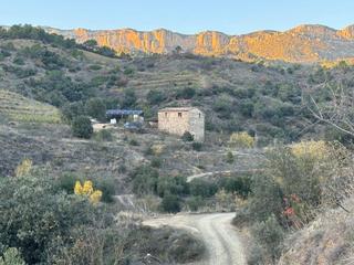 Casa a Poboleda. Venta de crédito  oportunidad de inversión en poboleda