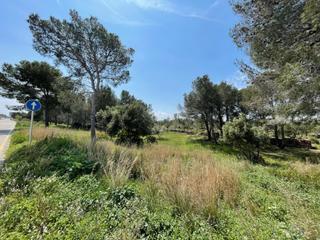 Terreny residencial a Poble. Suelo urbanizable en plana espanyol. montroig del camp tarragona