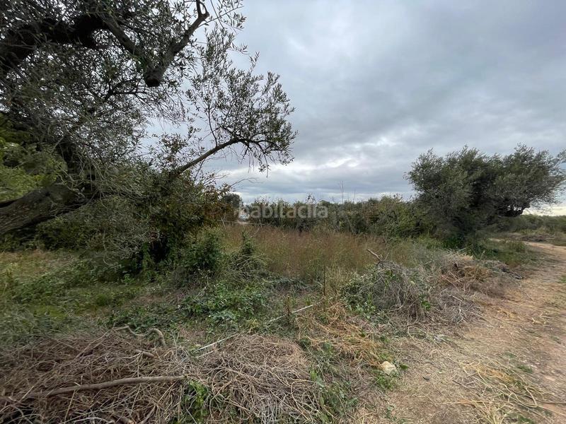 Foto 00231d51-a769-49d6-89c2-08959cae996b. Rural plot in Vilafortuny Platja Cambrils